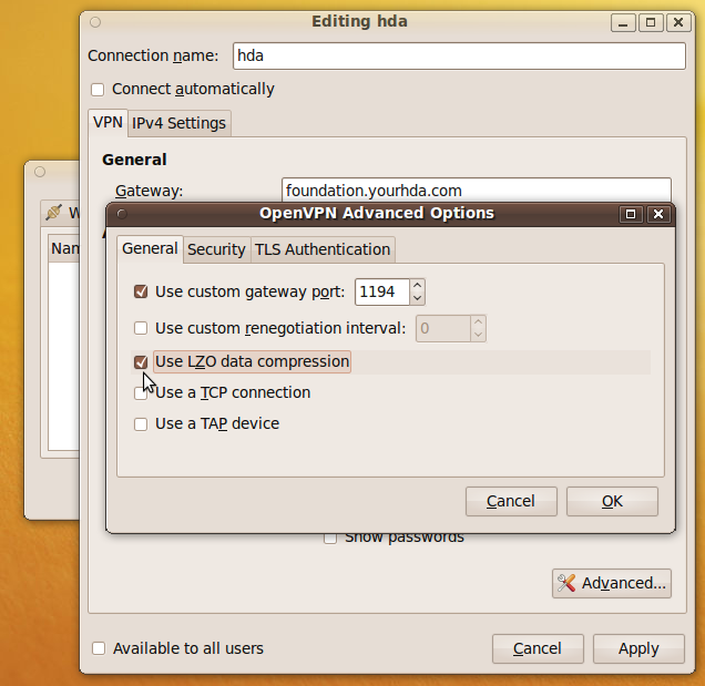 OpenVPN Advanced Options dialog box