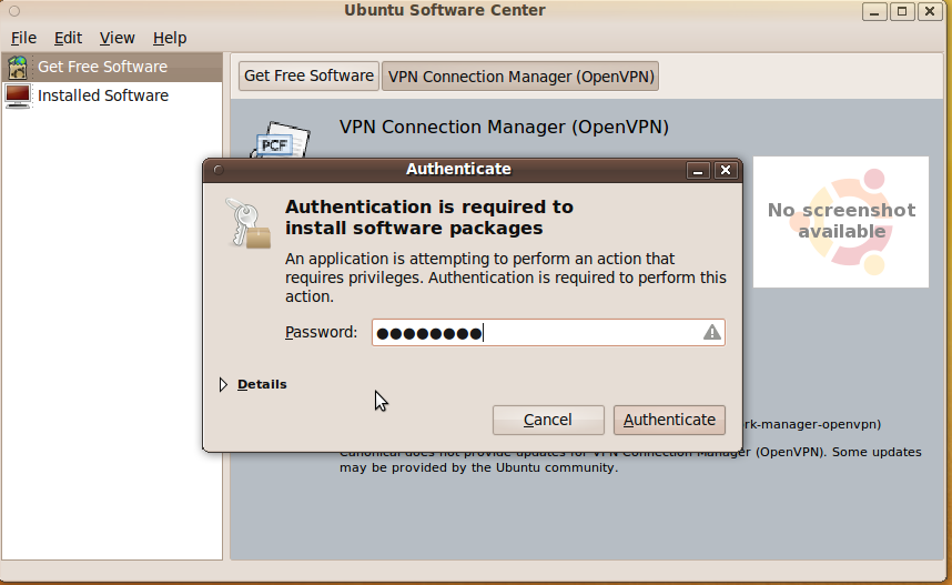 Granting authorization for the install process...