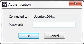 install vnc server ubuntu 12