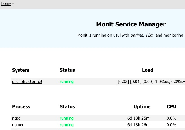 monit program service check