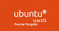 Precise Pangolin Ubuntu OS 2.jpg