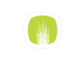 Chive-logo.png